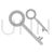 Two Keys Greyscale Icon