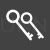 Two Keys Glyph Inverted Icon