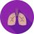 Lungs Flat Shadowed Icon - IconBunny