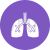 Lungs Flat Round Icon - IconBunny